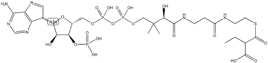 6049-57-6 ethylmalonyl-coenzyme A