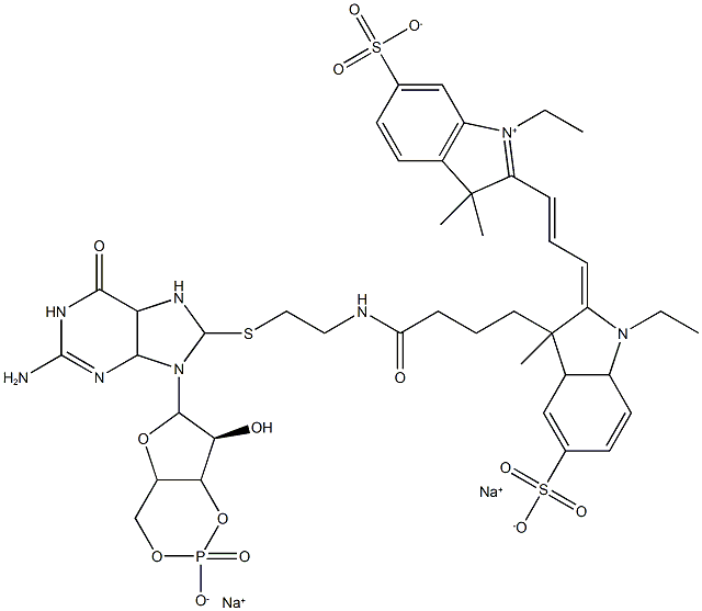 8-DY547-cGMP 化学構造式