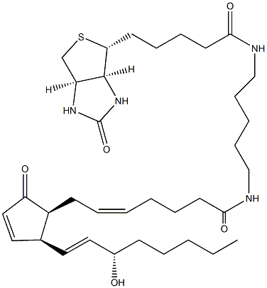 8-iso Prostaglandin A2-biotin Struktur