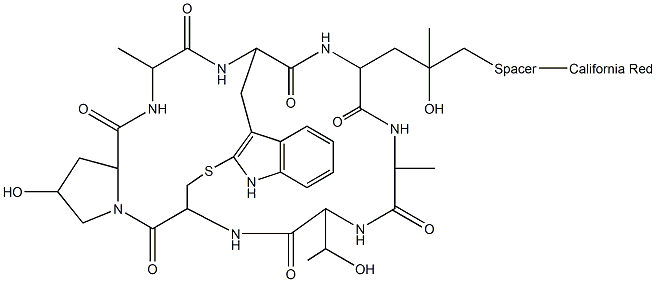 鬼笔环肽-加州红标记,,结构式