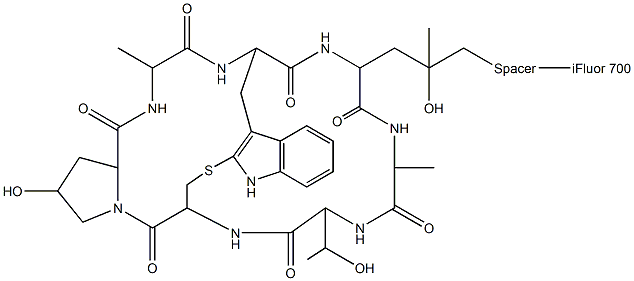 鬼笔环肽-IFLUOR 700标记, , 结构式