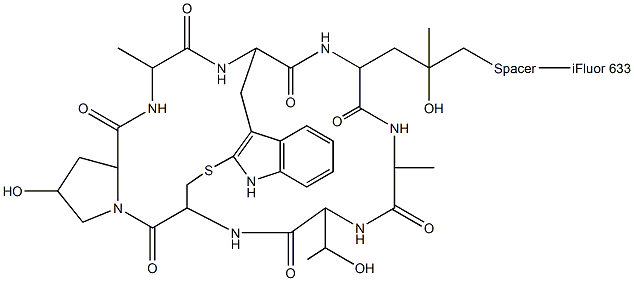 鬼笔环肽-IFLUOR 633标记, , 结构式