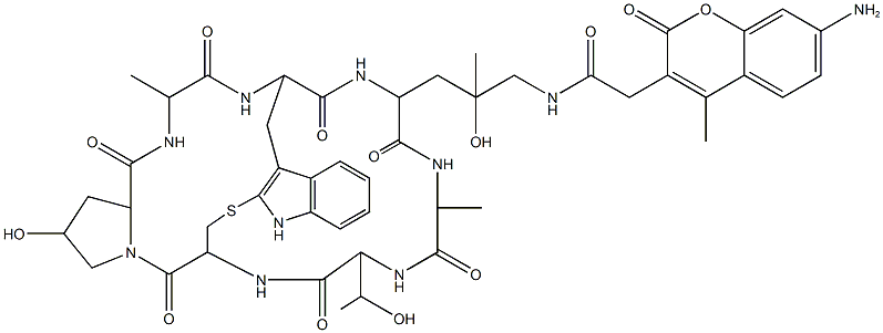 鬼笔环肽-AMCA标记,,结构式