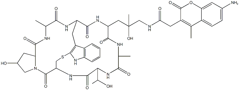 鬼笔环肽-AMCA标记 结构式