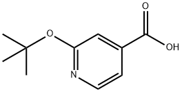 2-(tert-butoxy)pyridine-4-carboxylic acid Struktur