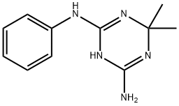 6,6-DIMETHYL-N~2~-PHENYL-1,6-DIHYDRO-1,3,5-TRIAZINE-2,4-DIAMINE|6,6-二甲基-2-N-苯基-1,6-二氢-1,3,5-三嗪-2,4-二胺