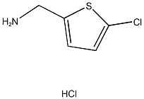 (5-CHLOROTHIEN-2-YL)METHYLAMINE HYDROCHLORIDE