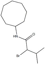 2-bromo-N-cyclooctyl-3-methylbutanamide Struktur