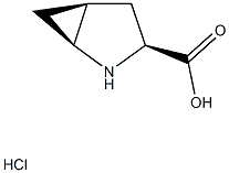 (1S,3S,5S)-2-AZABICYCLO[3.1.0]HEXANE-3-CARBOXYLIC ACID HYDROCHLORIDE|