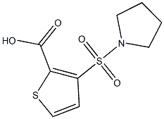 3-(pyrrolidin-1-ylsulfonyl)thiophene-2-carboxylic acid