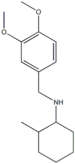 N-[(3,4-dimethoxyphenyl)methyl]-2-methylcyclohexan-1-amine Structure