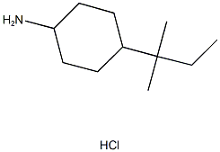 4-(1,1-DIMETHYLPROPYL)CYCLOHEXANAMINE HYDROCHLORIDE