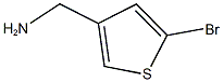 (5-bromothien-3-yl)methylamine