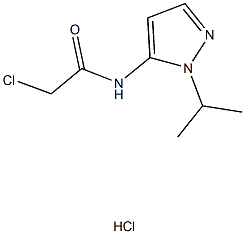 2-chloro-N-(1-isopropyl-1H-pyrazol-5-yl)acetamide hydrochloride