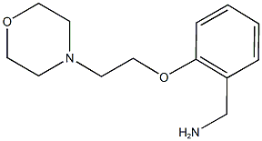 {2-[2-(morpholin-4-yl)ethoxy]phenyl}methanamine