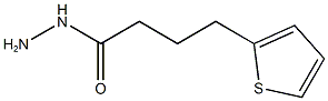 4-(thiophen-2-yl)butanehydrazide Structure