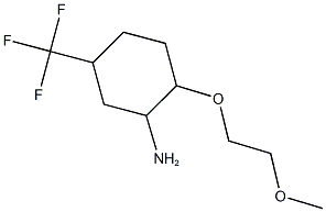 2-(2-METHOXYETHOXY)-5-(TRIFLUOROMETHYL)CYCLOHEXANAMINE Structure