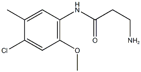 3-amino-N-(4-chloro-2-methoxy-5-methylphenyl)propanamide Struktur