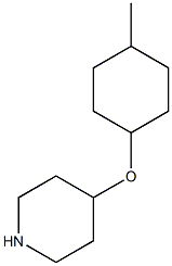 4-[(4-methylcyclohexyl)oxy]piperidine Struktur