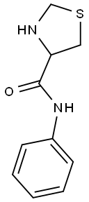 N-phenyl-1,3-thiazolidine-4-carboxamide Structure