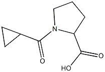 1-(cyclopropylcarbonyl)pyrrolidine-2-carboxylic acid