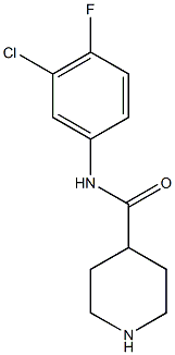 N-(3-chloro-4-fluorophenyl)piperidine-4-carboxamide,,结构式