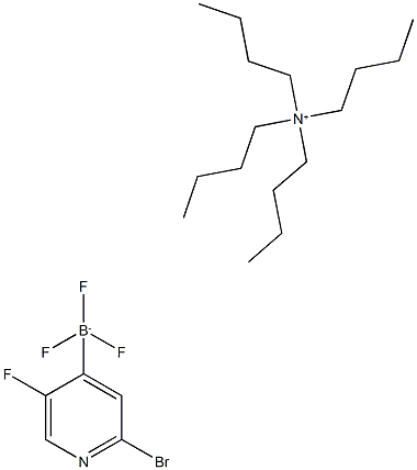 Tetrabutylammonium(2-bromo-5-fluoropyridine-4-yl)trifluroborate 化学構造式