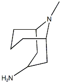 9Methyl-9-Azabicyclo[3,3,1]Nonan]3Amine 化学構造式