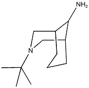 3-tert-butyl-3-azabicyclo[3.3.1]nonan-9-amine 化学構造式