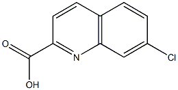 7-chloroquinoline-2-carboxylic acid,,结构式