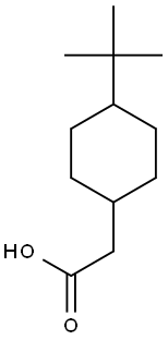  2-(4-tert-butylcyclohexyl)acetic acid