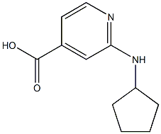 2-(cyclopentylamino)pyridine-4-carboxylic acid,,结构式
