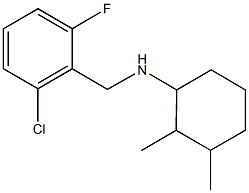 N-[(2-chloro-6-fluorophenyl)methyl]-2,3-dimethylcyclohexan-1-amine 结构式