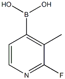 2-Fluoro-3-methylpyridin-4-boronic acid 化学構造式