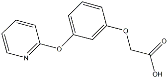 3-(PYRIDIN-2-YLOXY)PHENOXY]ACETIC ACID 结构式