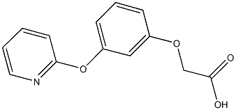  3-(PYRIDIN-2-YLOXY)PHENOXY]ACETIC ACID