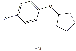 4-(CYCLOPENTYLOXY)ANILINE HYDROCHLORIDE Struktur