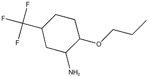 2-PROPOXY-5-(TRIFLUOROMETHYL)CYCLOHEXANAMINE Structure