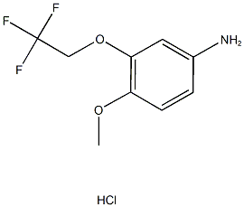4-methoxy-3-(2,2,2-trifluoroethoxy)aniline hydrochloride 结构式