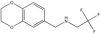 (2,3-dihydro-1,4-benzodioxin-6-ylmethyl)(2,2,2-trifluoroethyl)amine 结构式