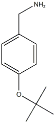 [4-(tert-butoxy)phenyl]methanamine 化学構造式