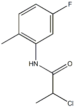 2-chloro-N-(5-fluoro-2-methylphenyl)propanamide