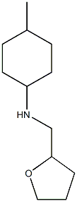 4-methyl-N-(oxolan-2-ylmethyl)cyclohexan-1-amine Struktur