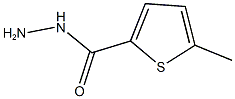 5-methylthiophene-2-carbohydrazide,,结构式
