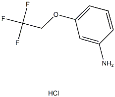 3-(2,2,2-TRIFLUOROETHOXY)ANILINE HYDROCHLORIDE,,结构式