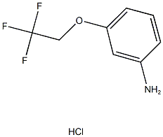  3-(2,2,2-TRIFLUOROETHOXY)ANILINE HYDROCHLORIDE