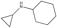 N-cyclohexyl-N-cyclopropylamine 结构式