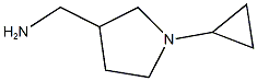 (1-cyclopropylpyrrolidin-3-yl)methylamine 化学構造式