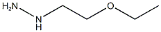 (2-ethoxyethyl)hydrazine Structure