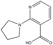 2-(pyrrolidin-1-yl)pyridine-3-carboxylic acid